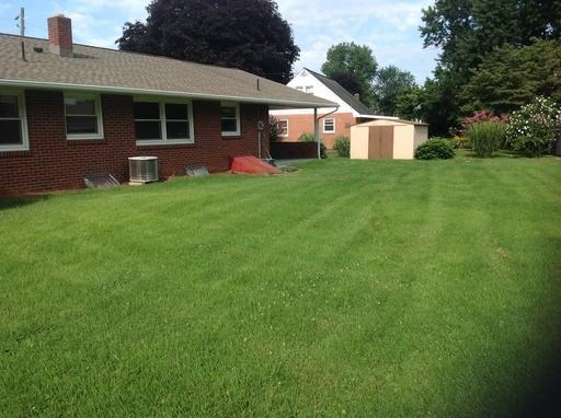 6391 Jeanette Dr - Photo 2 of 12