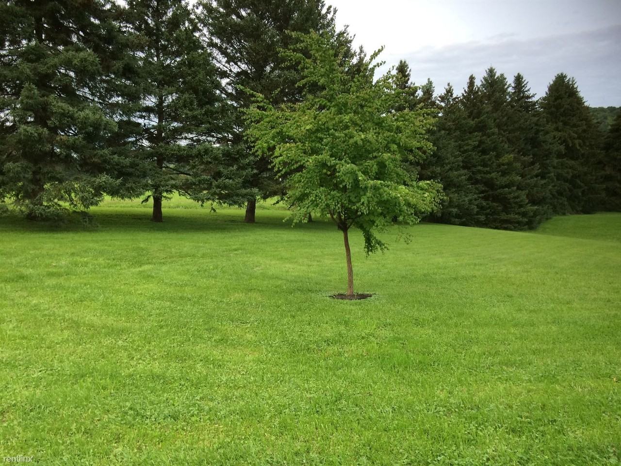 129 Shultz Dr - Photo 3 of 16