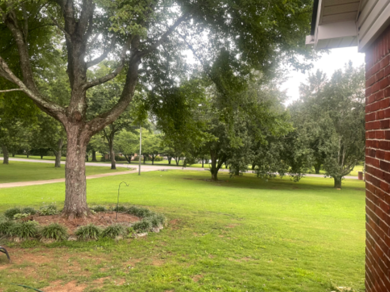 211 Powell St - Photo 2 of 8