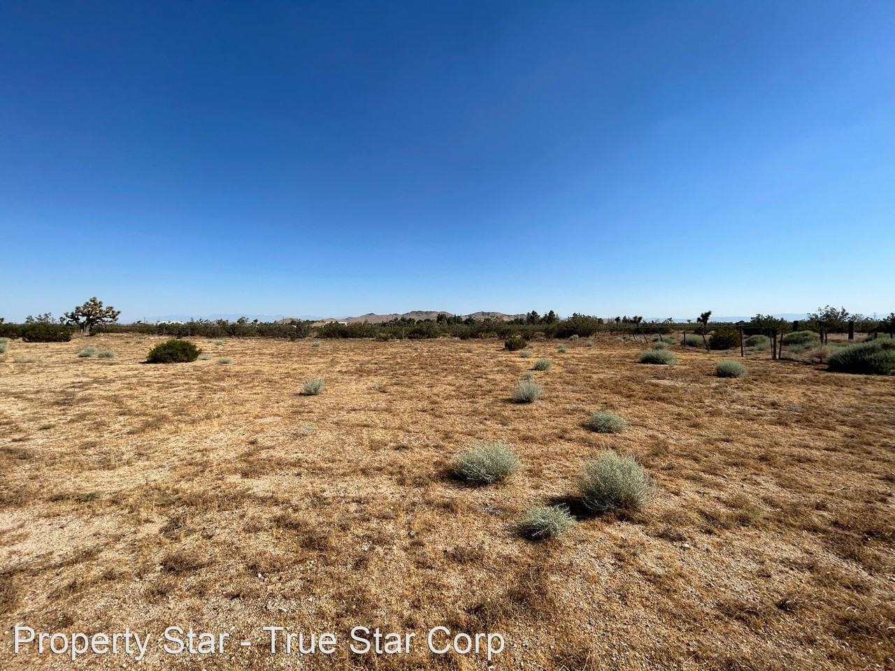 6142 Rare Rabbit Ave - Photo 2 of 32