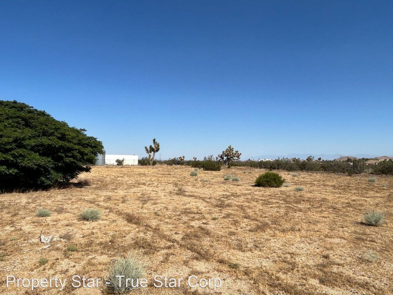 6142 Rare Rabbit Ave - Photo 3 of 32