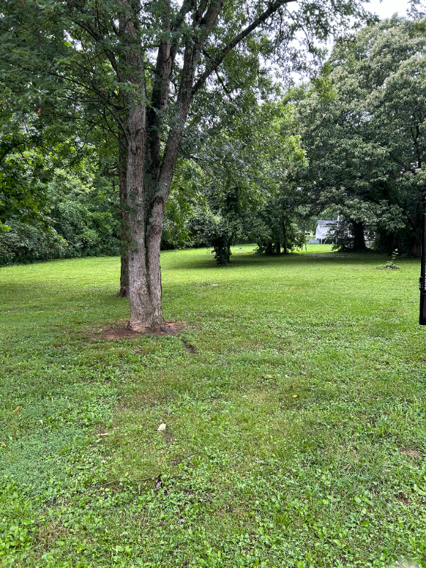 127 Fairview Ave - Photo 2 of 19