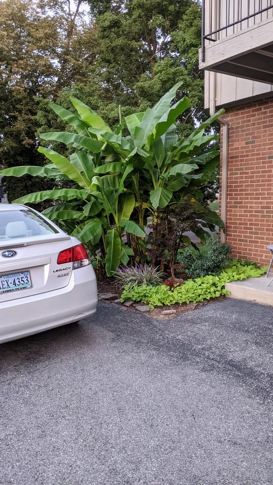 501 Walnut Ave Se #19 - Photo 2 of 16