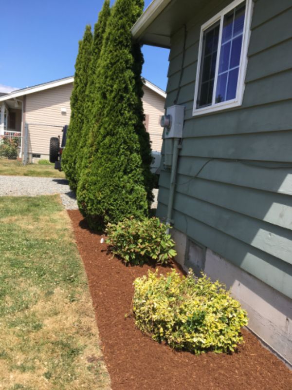 220 8th St - Photo 3 of 12