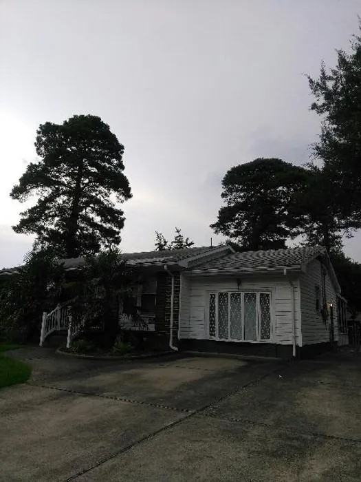 1109 Darren Dr - Photo 3 of 12