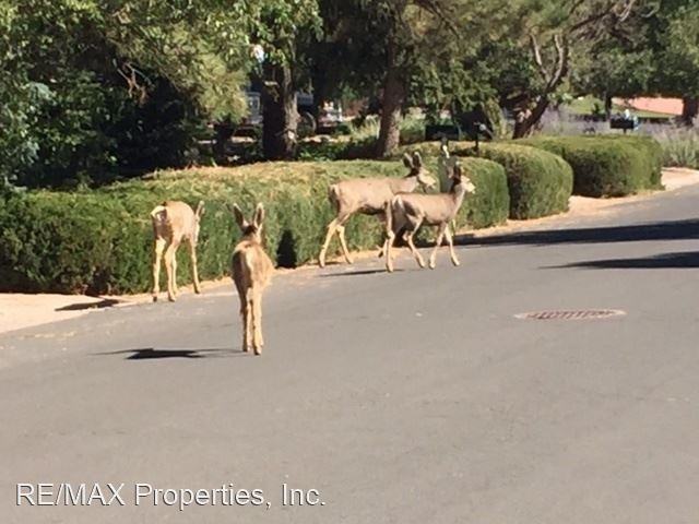 1913 Hercules Dr - Photo 3 of 14