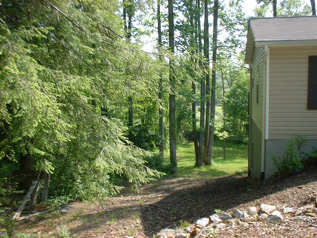 1826 Lower Ridgewood Blvd - Photo 2 of 19