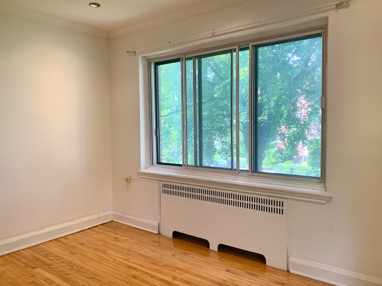4650 Avenue Bonavista - Photo 14
