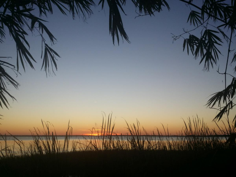 1120 North Shore Drive #2 - Photo 2 of 17