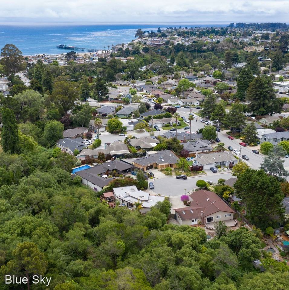 310 Alma Ln - Photo 2 of 36