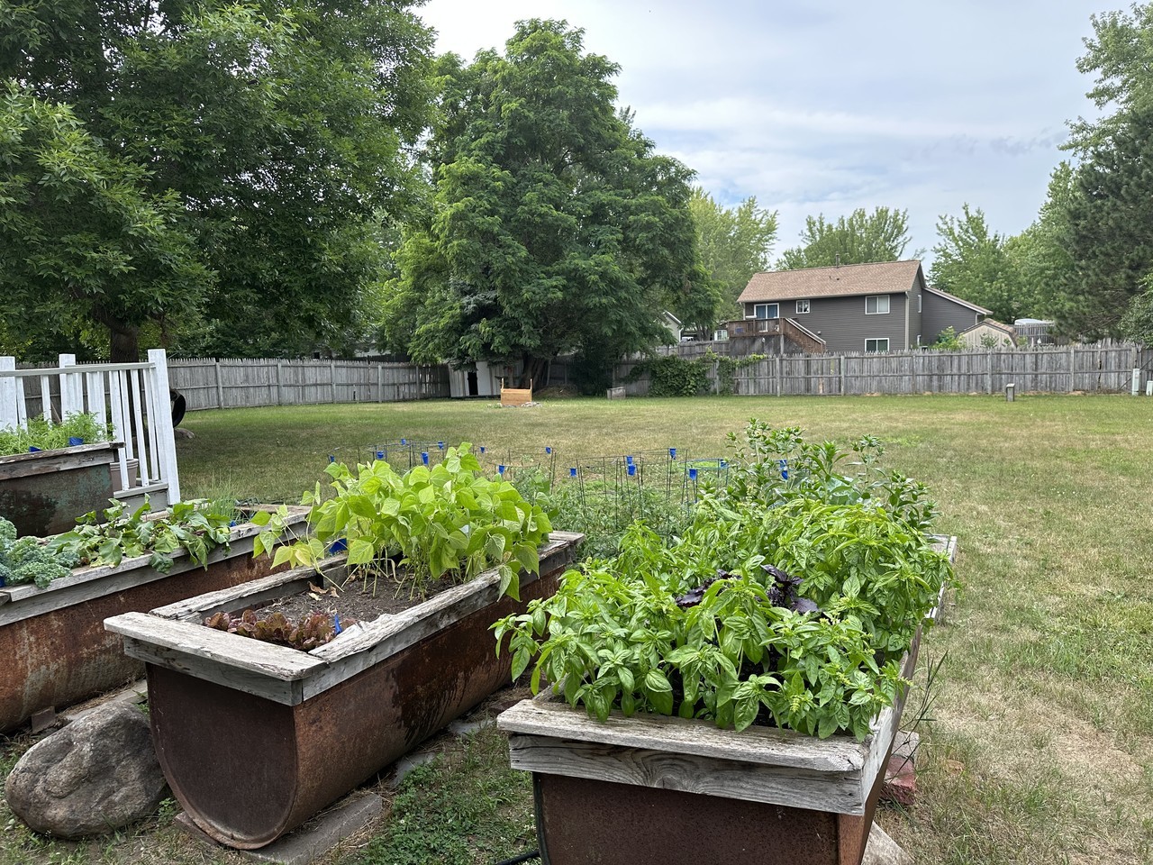 708 Cedar St Sw #NA - Photo 3 of 6