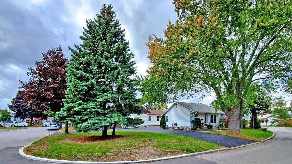 30 Beatty Road - Photo 2 of 14