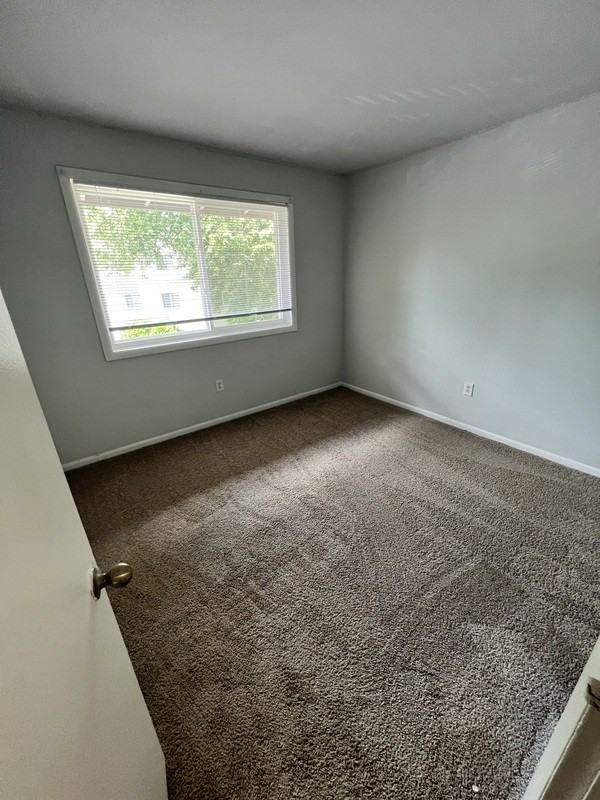 808 Brook Hill Rd #331 - Photo 7 of 10