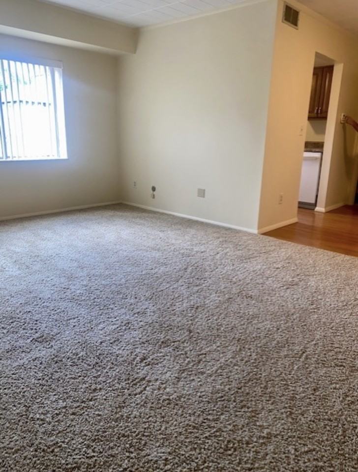 901 Lewis St #103 - Photo 3 of 11