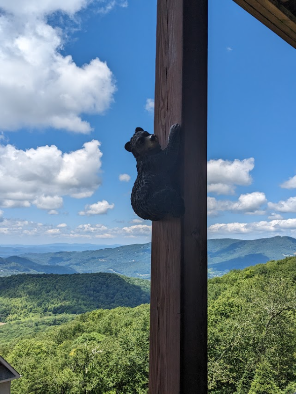 799 Craggy Pt - Photo 3 of 48