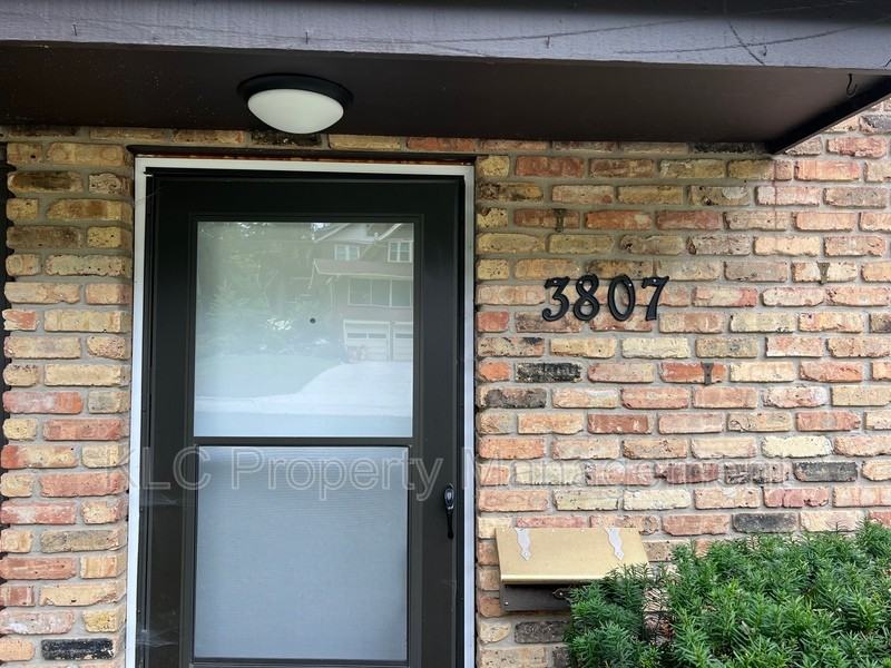 3807 Maquoketa Dr - Photo 3 of 24