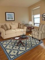 1160 Commonwealth Ave #30 - Photo 1 of 1