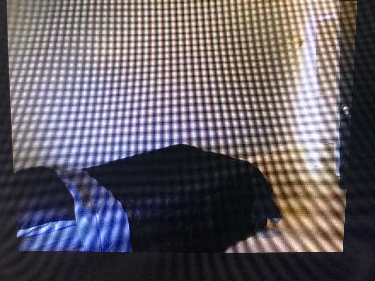 2635 E Napoleon St #B2