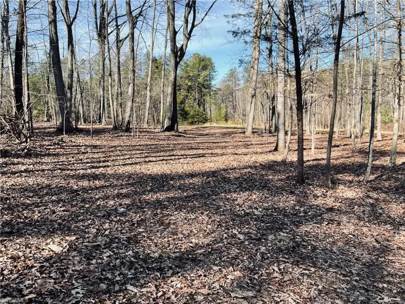 3401 Oak Ridge Rd - Photo 3 of 35