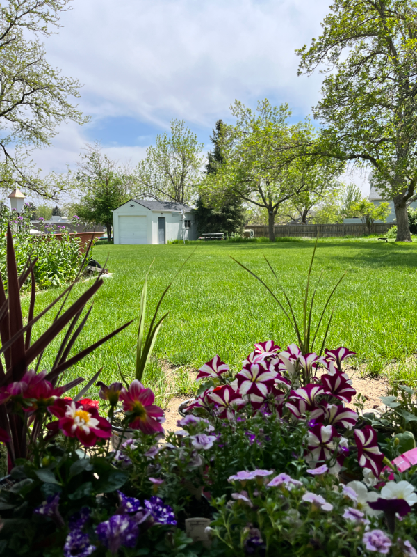 4896 S Nelson St - Photo 2 of 10