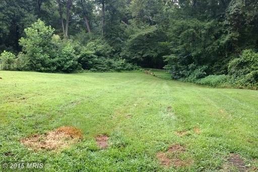 1340 Wilson Rd - Photo 3 of 21