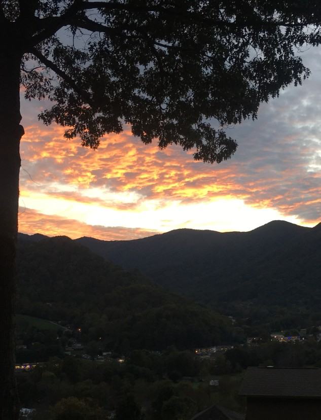 124 Hillside Dr #NA - Photo 3 of 50