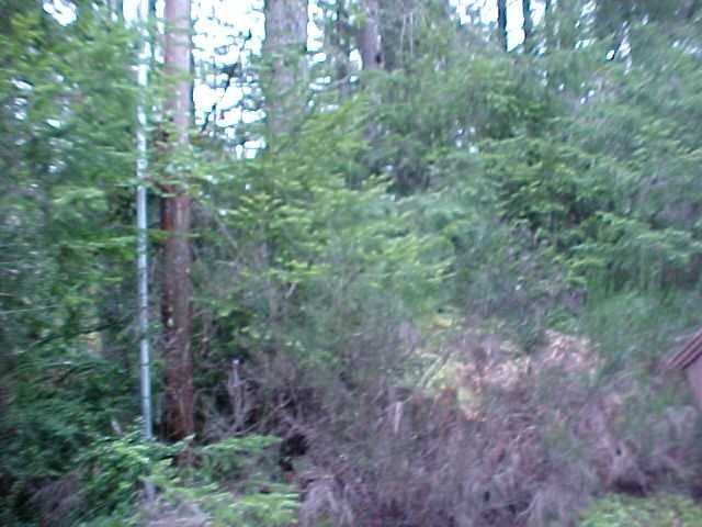 11213 Country Club Pl - Photo 2 of 15