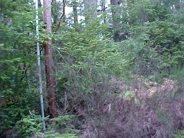 11213 Country Club Pl - Photo 3 of 15