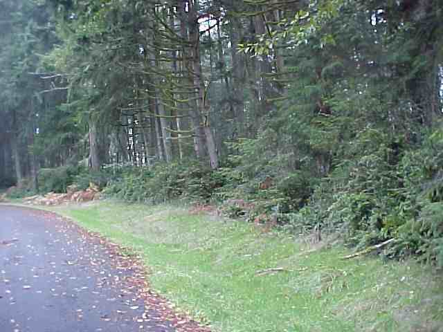 11714 Lake Pl - Photo 3 of 15