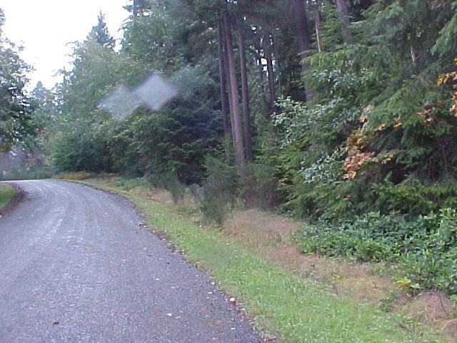 11024 Dolphin Dr - Photo 2 of 15