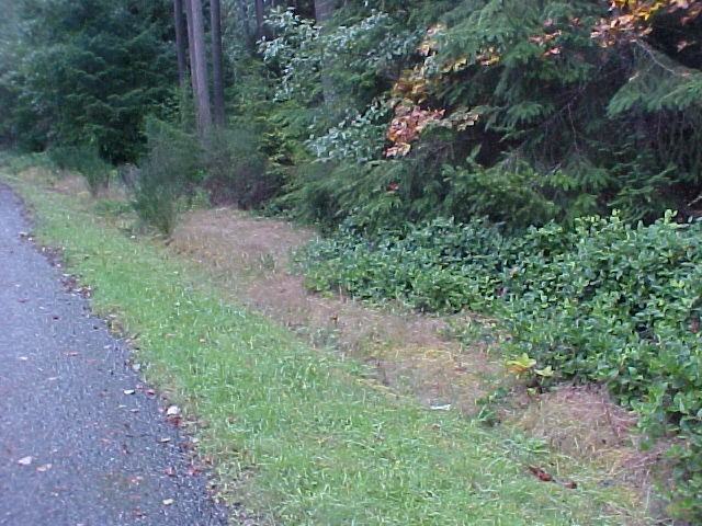 11024 Dolphin Dr - Photo 3 of 15