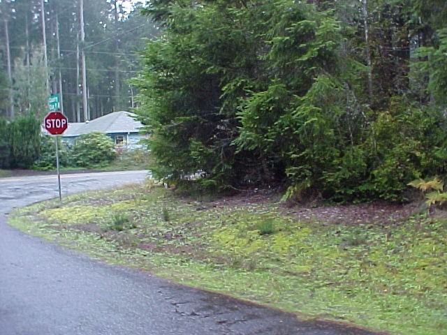 11217 Country Club Pl - Photo 2 of 15