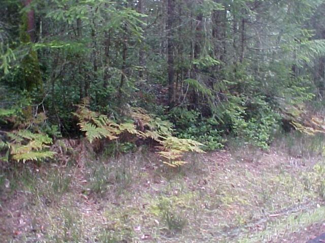 12015 Wapato Rd - Photo 2 of 16