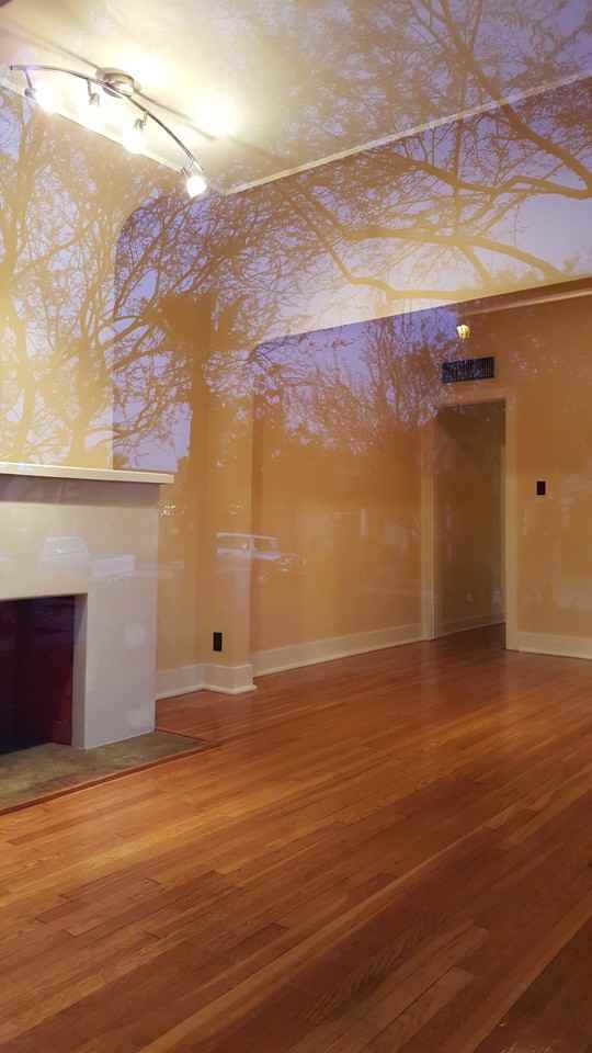 1325 W Monroe St #1325 - Photo 3 of 17