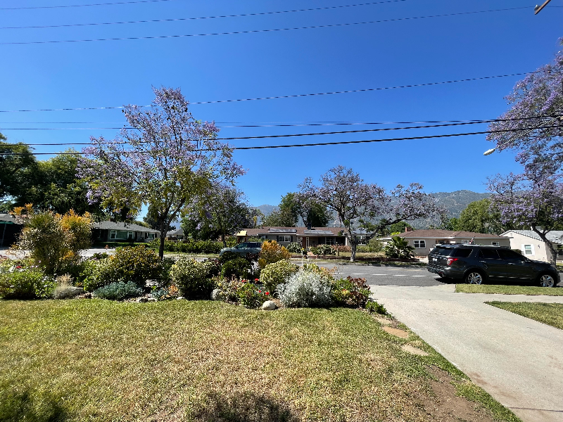 2820 Paloma St - Photo 3 of 29