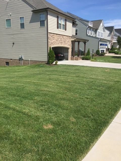 6901 Swanhaven Drive #1 - Photo 2 of 50