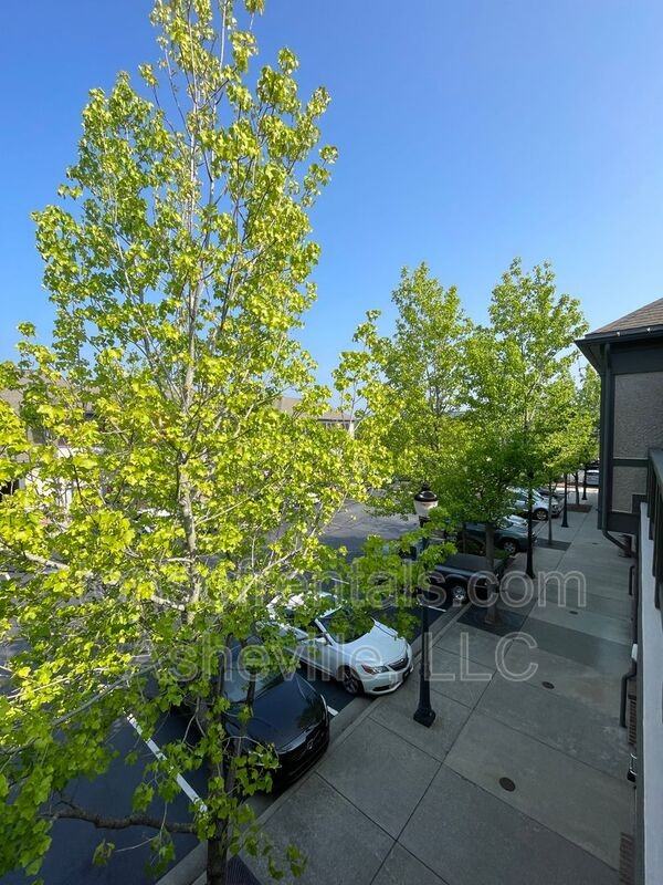 6 Fall Pippin Ln - Photo 3 of 23