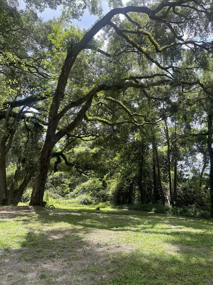 5475 Sombra Del Lago Dr #5475 - Photo 4 of 4