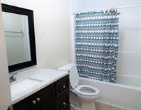 5847 Main Street #1 - Photo 6 of 6