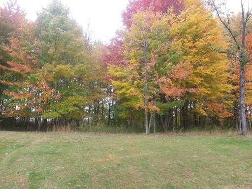 7274 Meadow Brooke Way - Photo 3 of 37