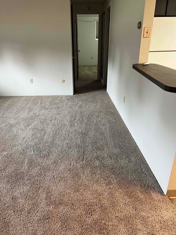 1721 9th Ave S #13 - Photo 7 of 7