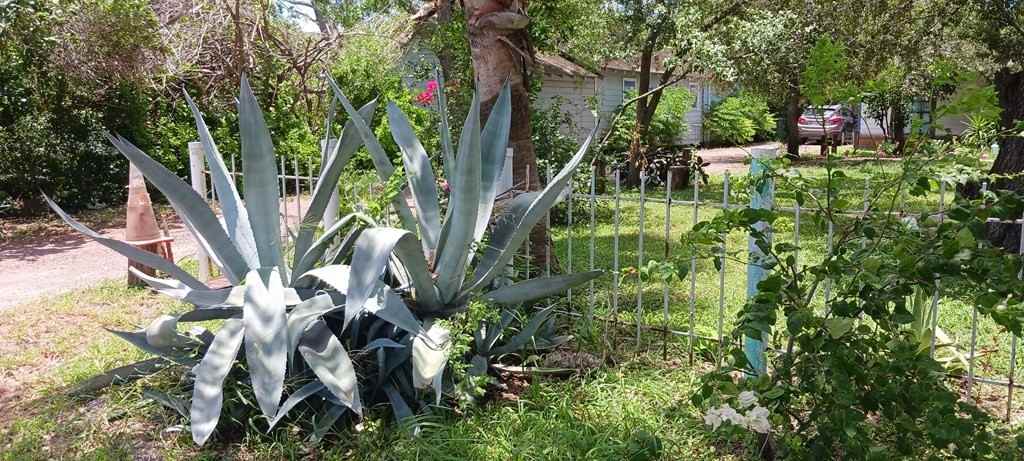 917 North 1/2 - Photo 3 of 11