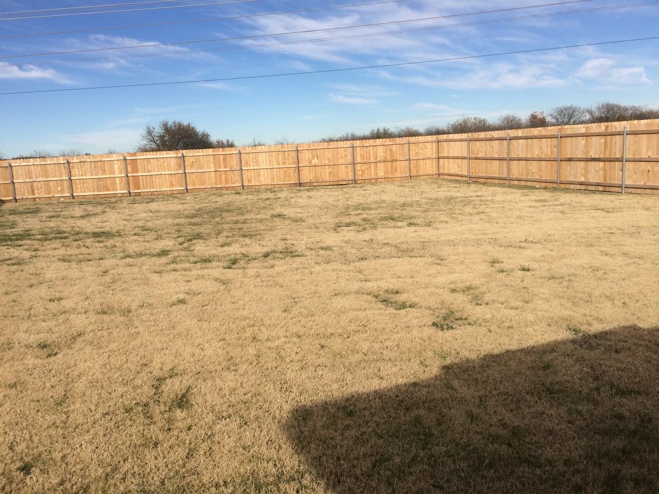 4204 Twinleaf Dr - Photo 2 of 9