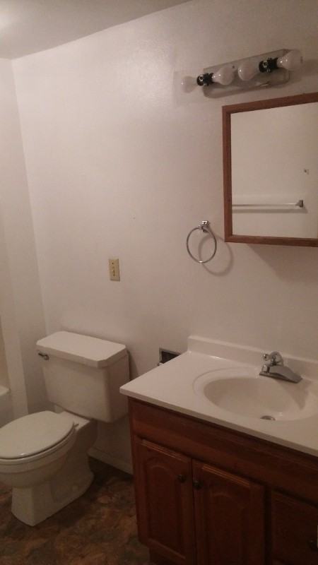 520 N 19th Ave Lowr - Photo 5 of 11