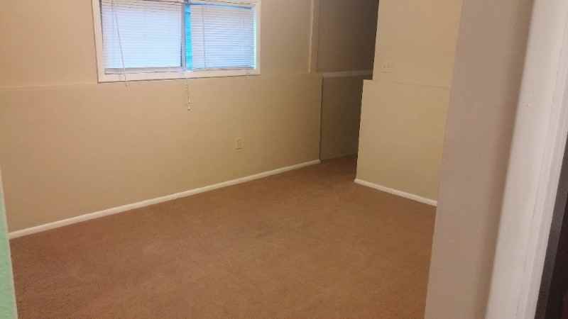 520 N 19th Ave Lowr - Photo 6 of 11