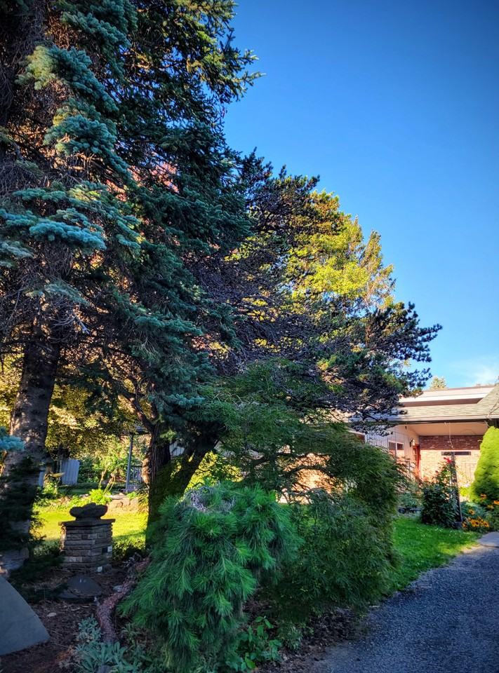 1509 Mckittrick St #NA - Photo 2 of 3