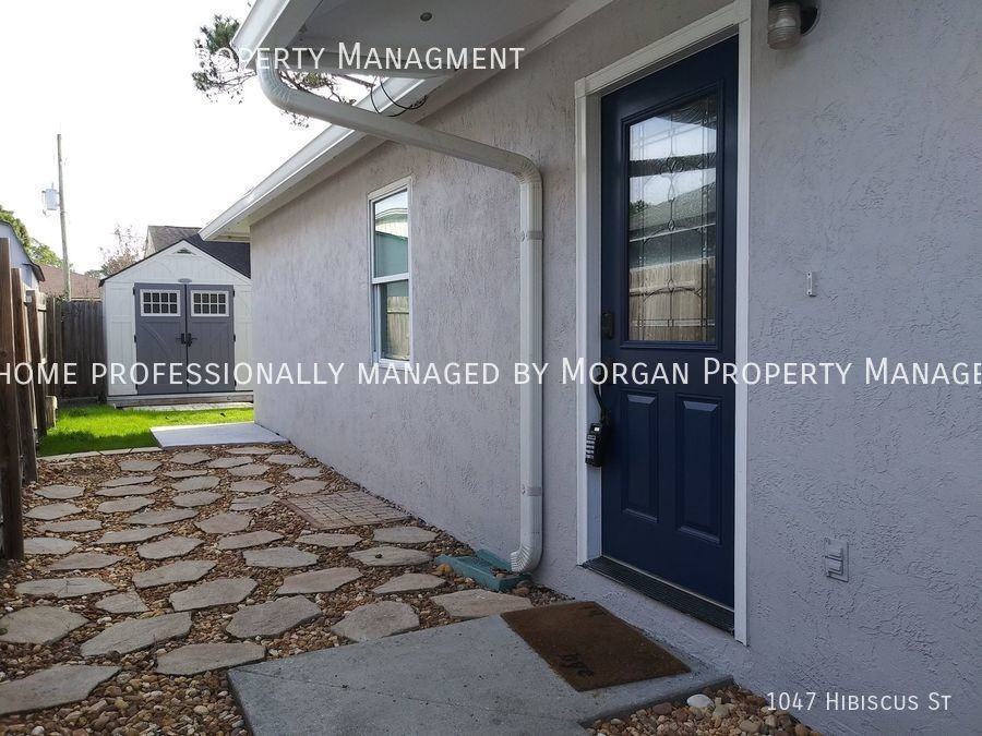 1047 Hibiscus St - Photo 3 of 17