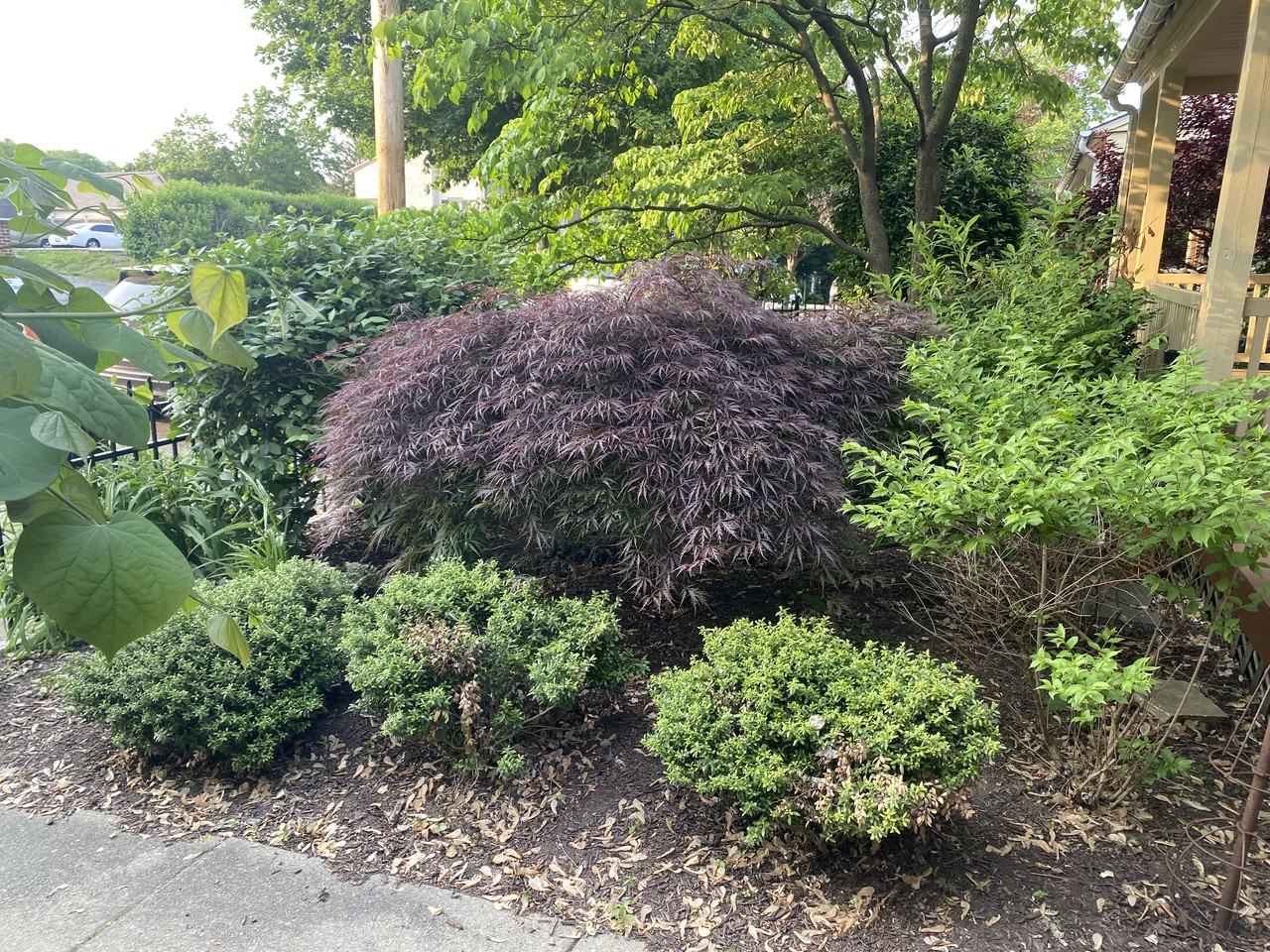 14 E Abington Ave #NA - Photo 2 of 14