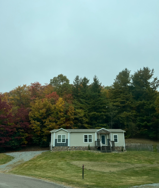 530 Marion Cornett Road - Photo 5 of 10