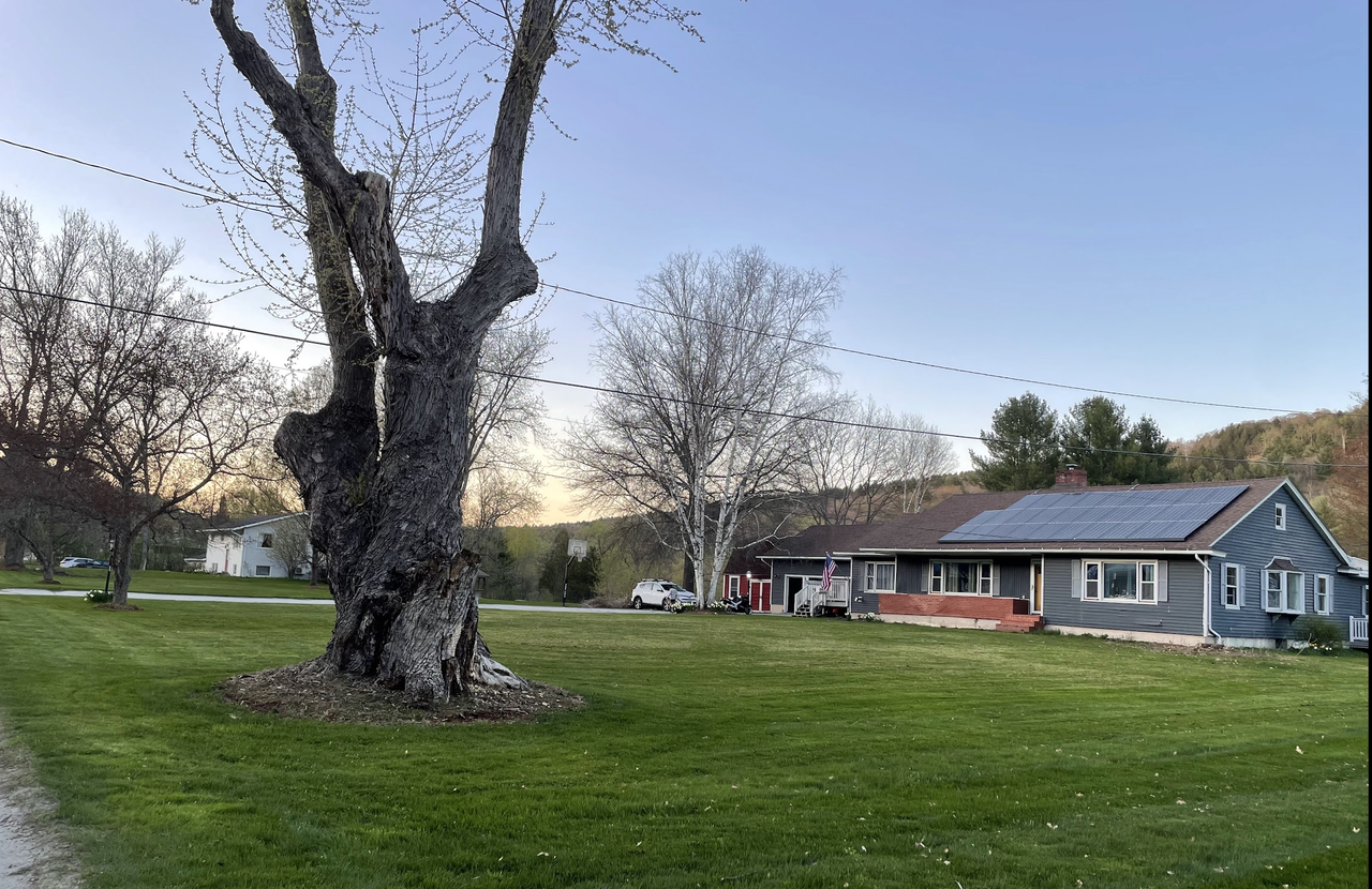 491 Elm St #NA - Photo 3 of 14